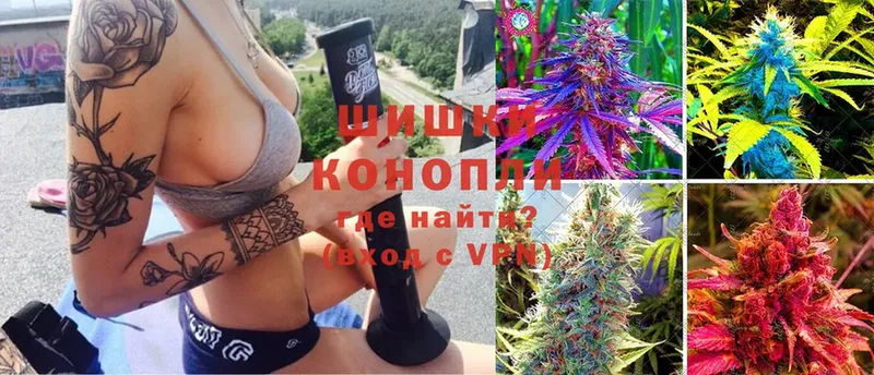 Каннабис Bruce Banner  Минусинск 